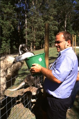 Emus and Matt finishing off the pellets