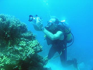 In the Outer Barrier Reef