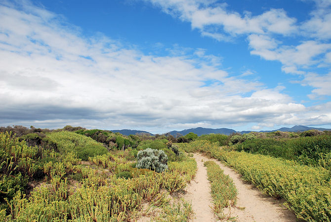 Walk through the plains