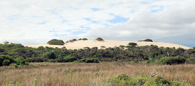 sanddune