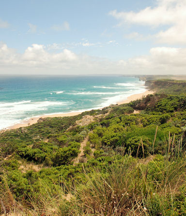 low vegetation near the Apostles