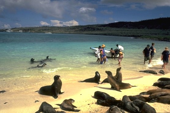 Galapagos landing - Santa F