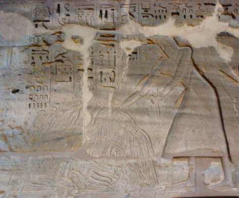 Zählung der Penisse