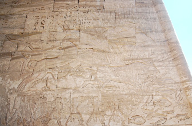 Stierjagd in den Sümpfen